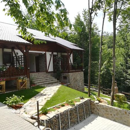 Casa Gozna Apartment Valiug Exterior photo