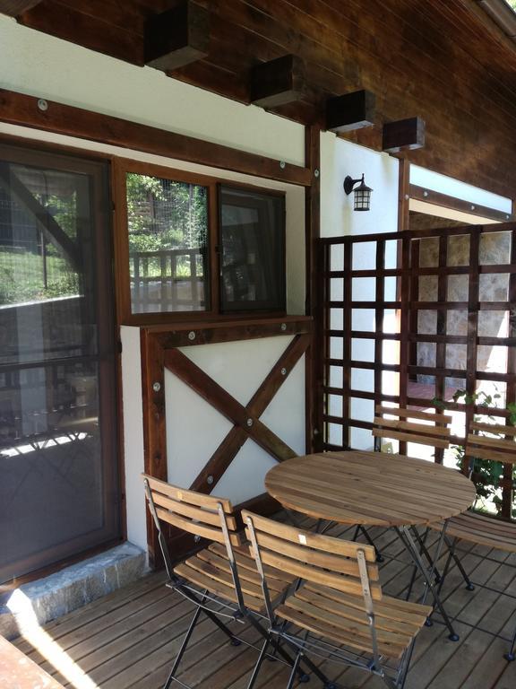 Casa Gozna Apartment Valiug Exterior photo