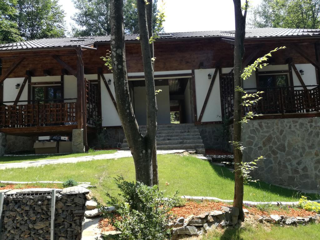 Casa Gozna Apartment Valiug Exterior photo