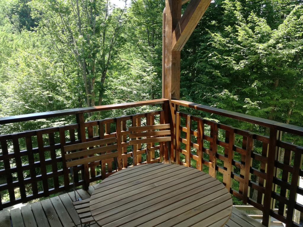 Casa Gozna Apartment Valiug Exterior photo