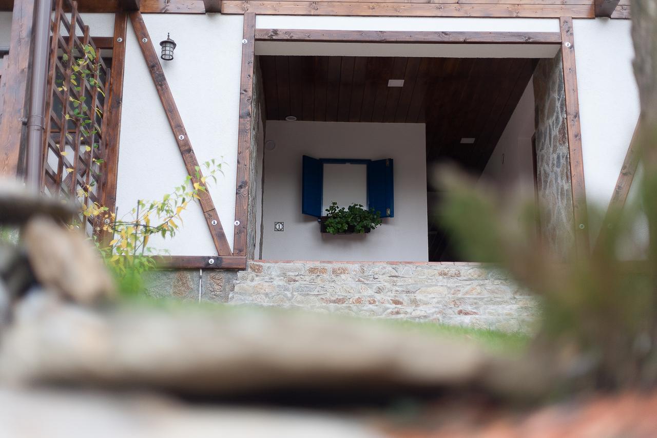 Casa Gozna Apartment Valiug Exterior photo
