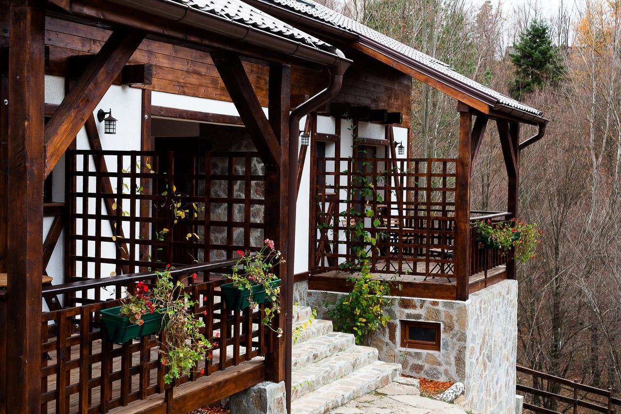 Casa Gozna Apartment Valiug Exterior photo