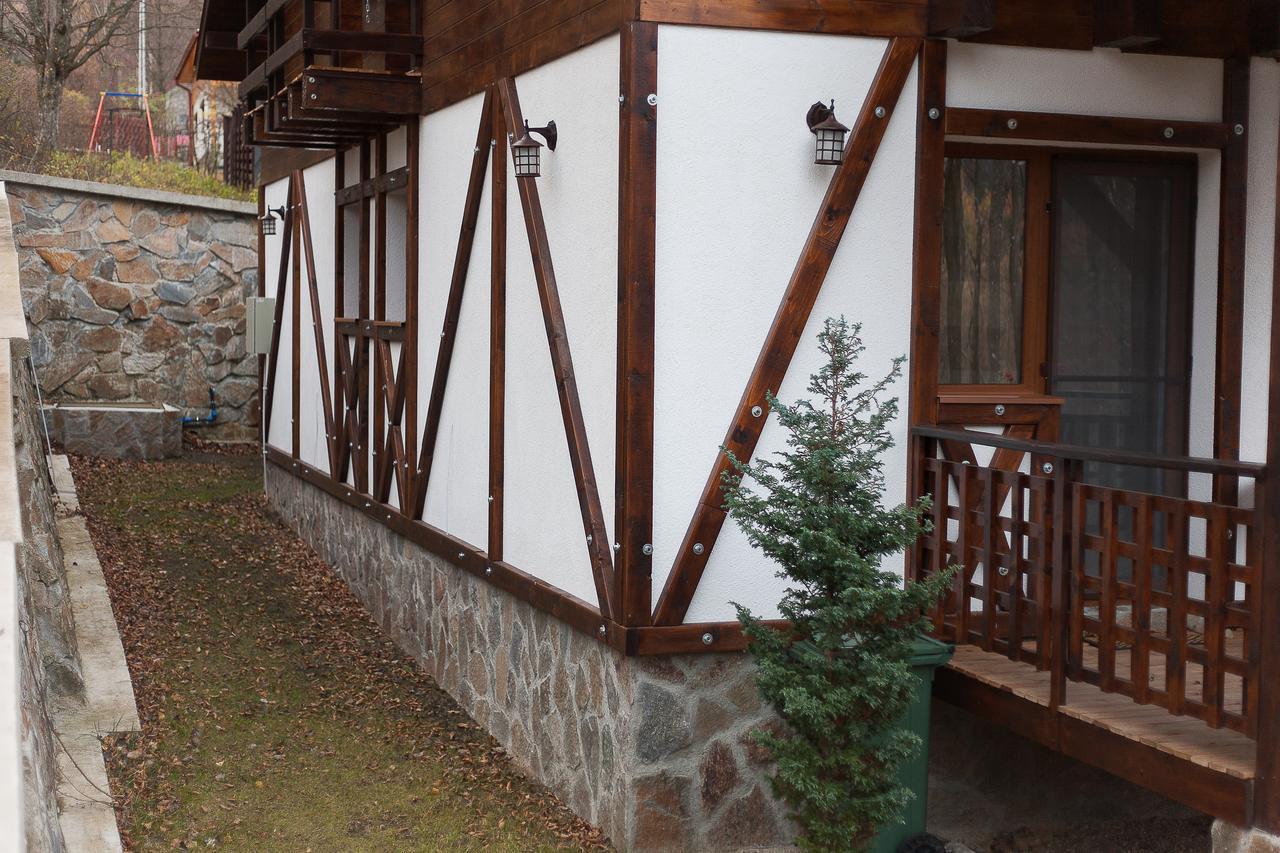 Casa Gozna Apartment Valiug Exterior photo