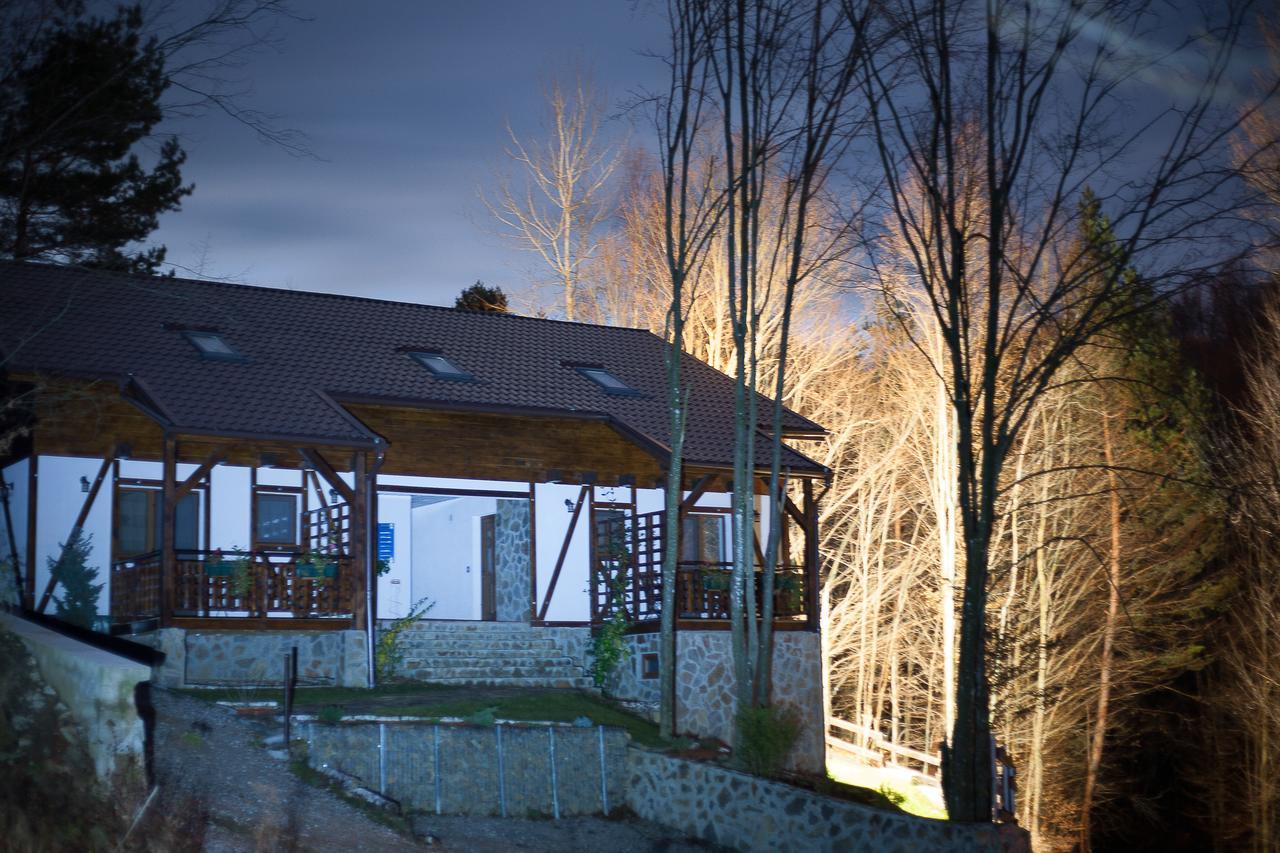 Casa Gozna Apartment Valiug Exterior photo
