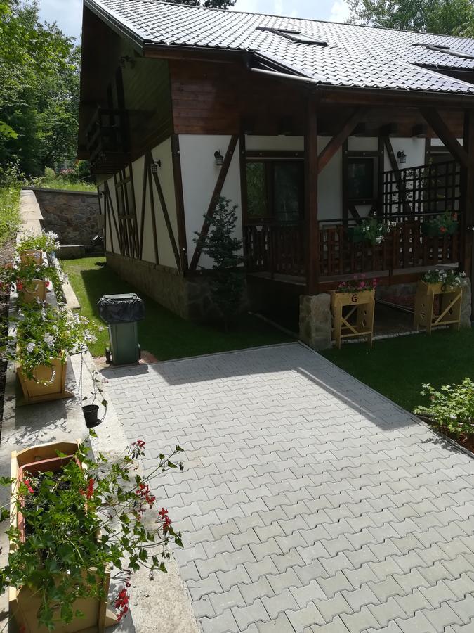 Casa Gozna Apartment Valiug Exterior photo