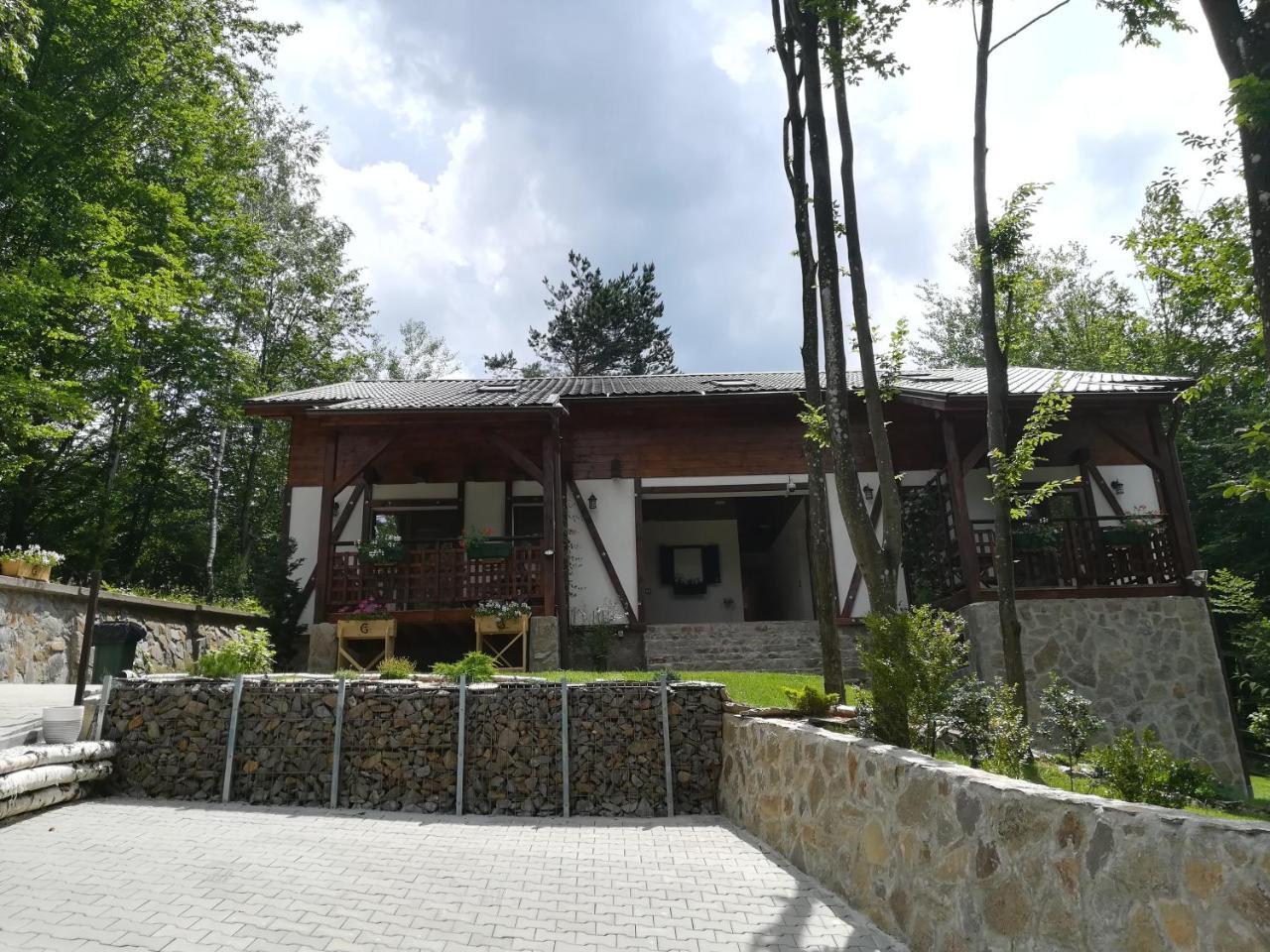 Casa Gozna Apartment Valiug Exterior photo