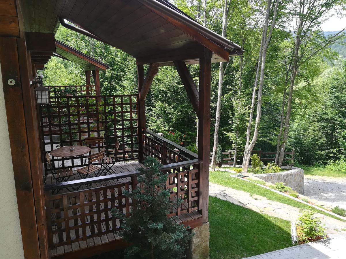 Casa Gozna Apartment Valiug Exterior photo