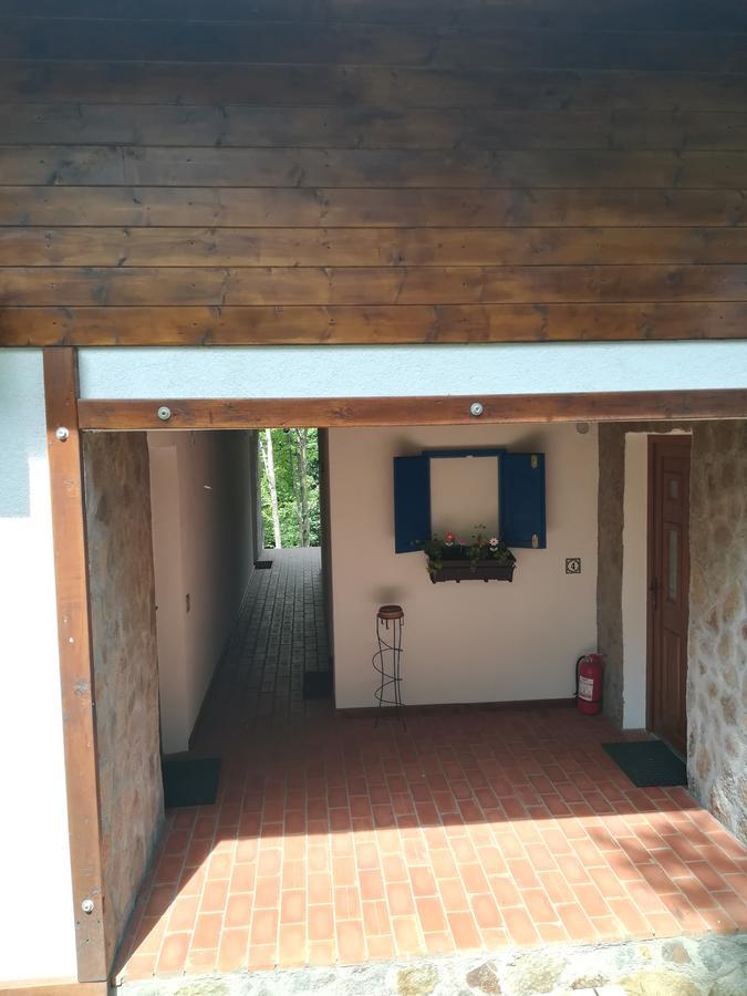 Casa Gozna Apartment Valiug Exterior photo